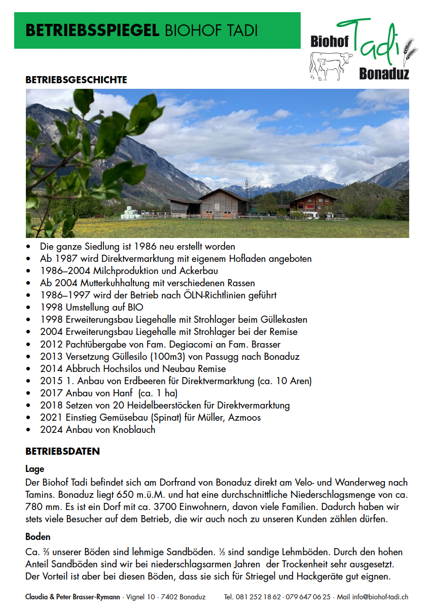 Betriebsspiegel
