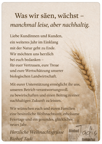 bild.weihnachtskarte25